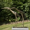 'Oiseaux des marais'  brons